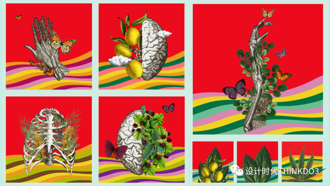 Dieline Awards<a href=http://www.edabuilding.com/sheji/baozhuang/ target=_blank class=infotextkey>包裝</a><a href=http://www.edabuilding.com/ target=_blank class=infotextkey>設(shè)計(jì)</a>獎(jiǎng) 2022年度獲獎(jiǎng)作品