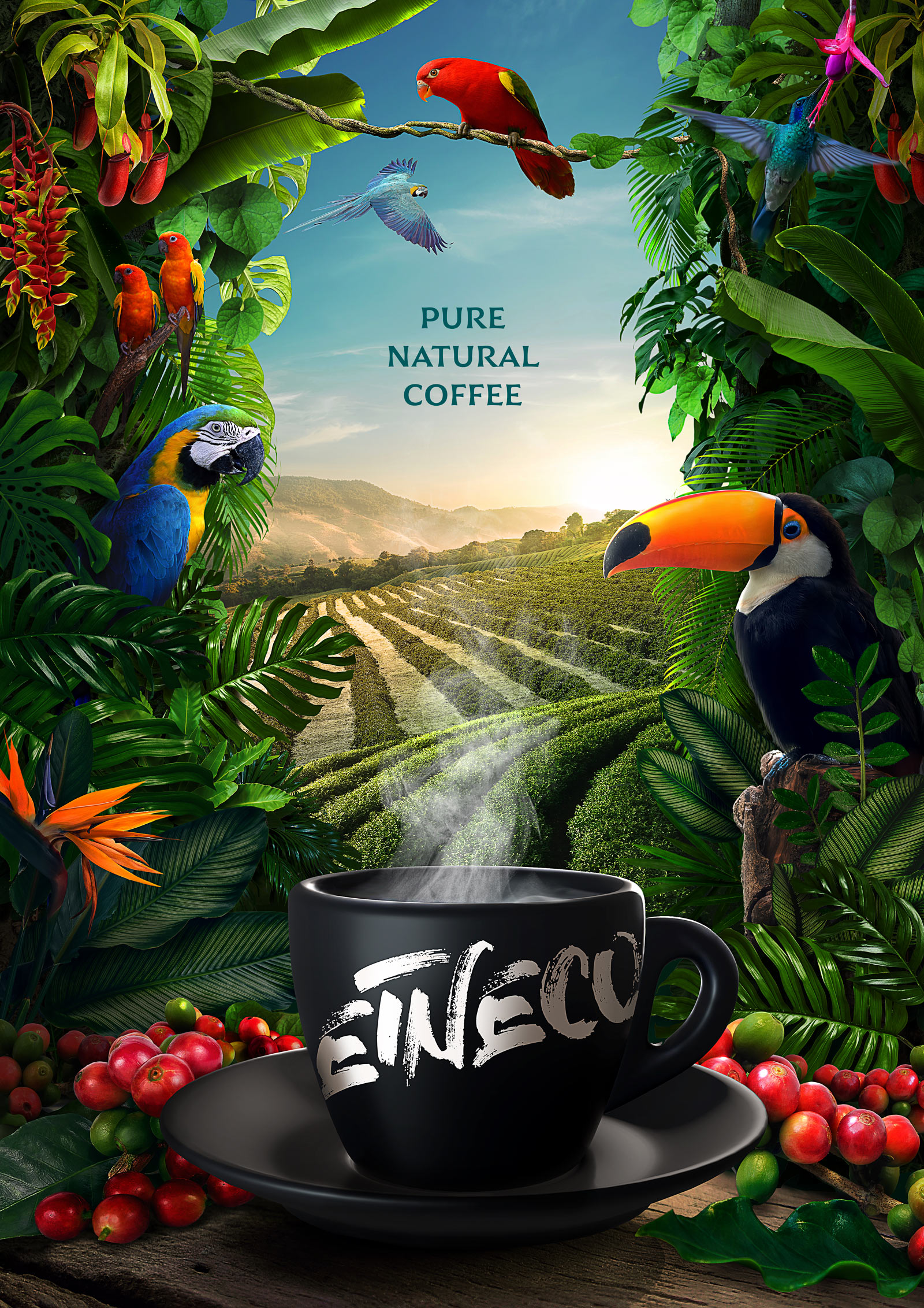 Etneco<a href=http://www.edabuilding.com/sheji/baozhuang/ target=_blank class=infotextkey>b</a><a href=http://www.edabuilding.com/ target=_blank class=infotextkey>O(sh)Ӌ</a>