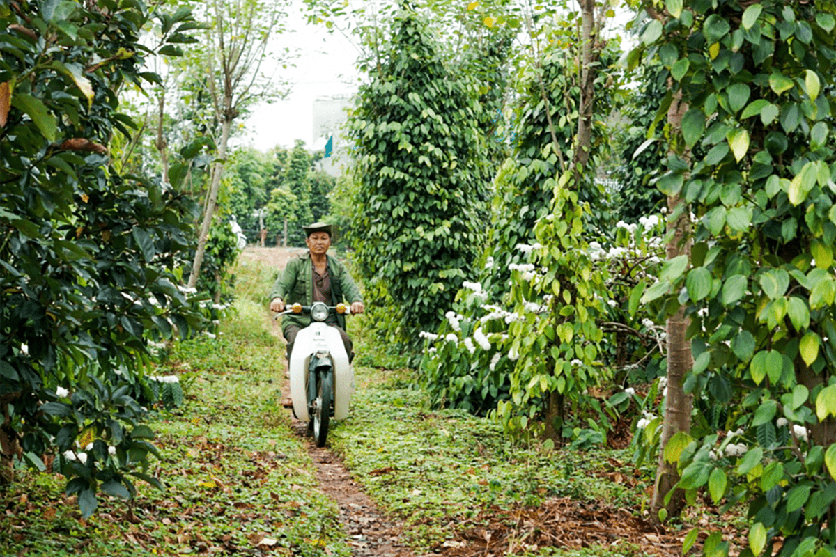 NAM CoffeeƷ<a href=http://www.edabuilding.com/sheji/baozhuang/ target=_blank class=infotextkey>b</a><a href=http://www.edabuilding.com/ target=_blank class=infotextkey>O(sh)Ӌ(j)</a>