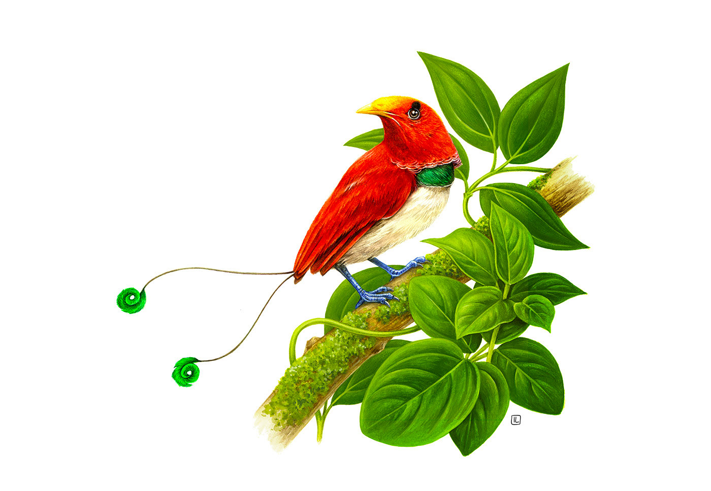 <a href=http://www.edabuilding.com/sheji/chahua/ target=_blank class=infotextkey>宋</a>Irene LaschiL<a href=http://www.edabuilding.com/sheji/chahua/ target=_blank class=infotextkey>宋</a>Ʒ