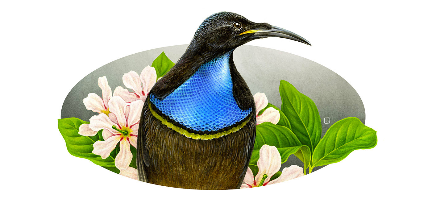 <a href=http://www.edabuilding.com/sheji/chahua/ target=_blank class=infotextkey>宋</a>Irene LaschiL<a href=http://www.edabuilding.com/sheji/chahua/ target=_blank class=infotextkey>宋</a>Ʒ