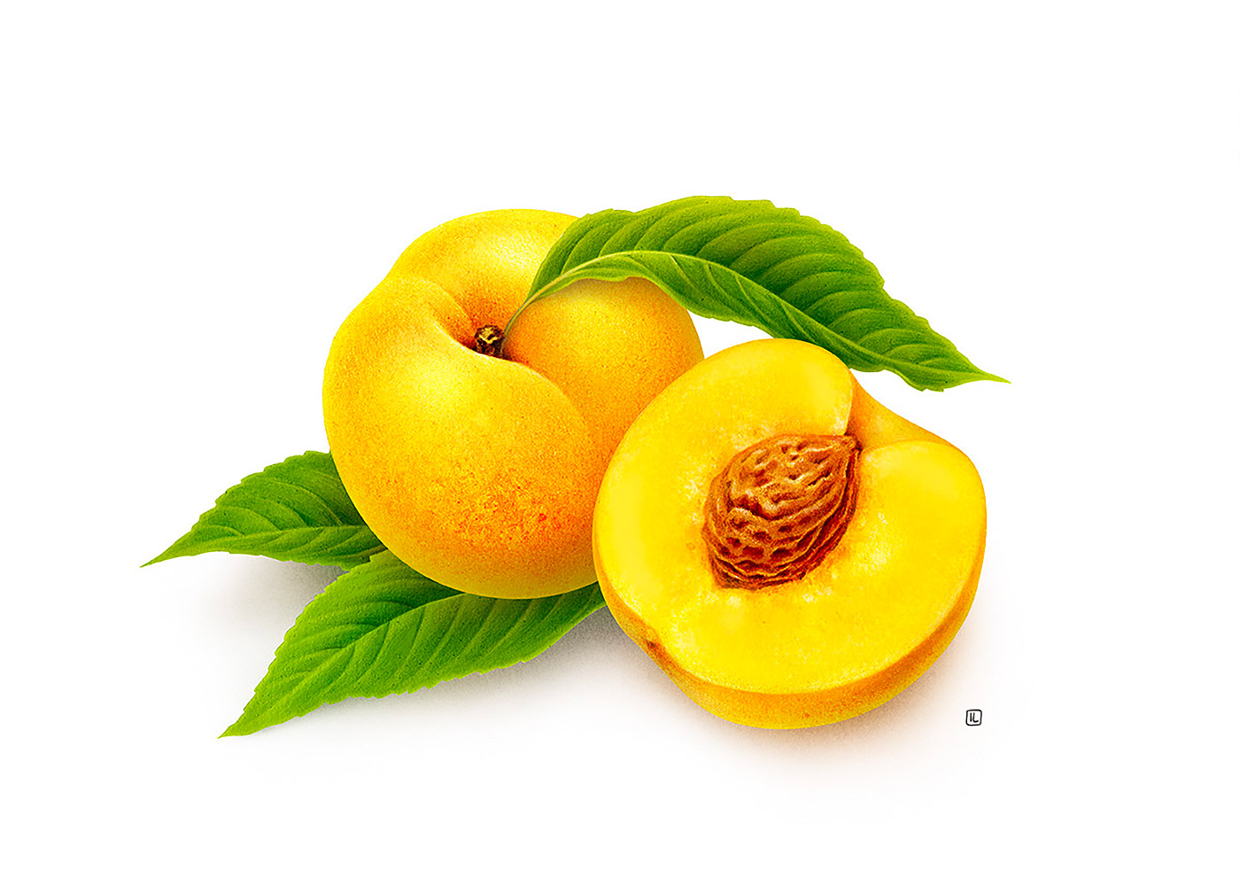 <a href=http://www.edabuilding.com/sheji/chahua/ target=_blank class=infotextkey>宋</a>Irene LaschiL<a href=http://www.edabuilding.com/sheji/chahua/ target=_blank class=infotextkey>宋</a>Ʒ
