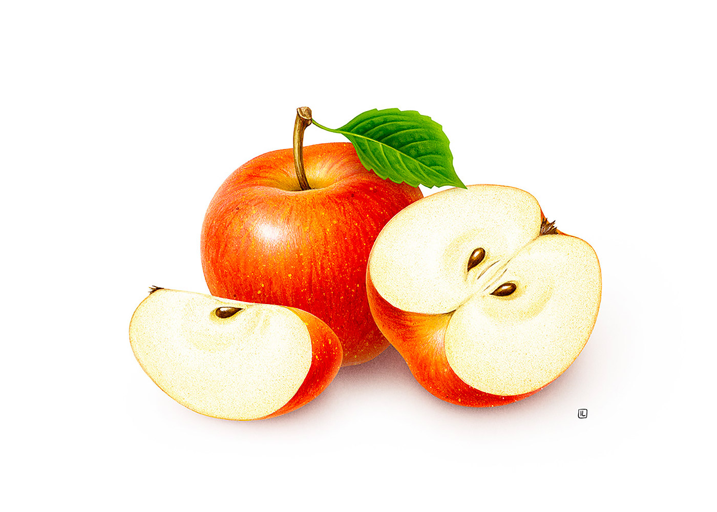 <a href=http://www.edabuilding.com/sheji/chahua/ target=_blank class=infotextkey>宋</a>Irene LaschiL<a href=http://www.edabuilding.com/sheji/chahua/ target=_blank class=infotextkey>宋</a>Ʒ