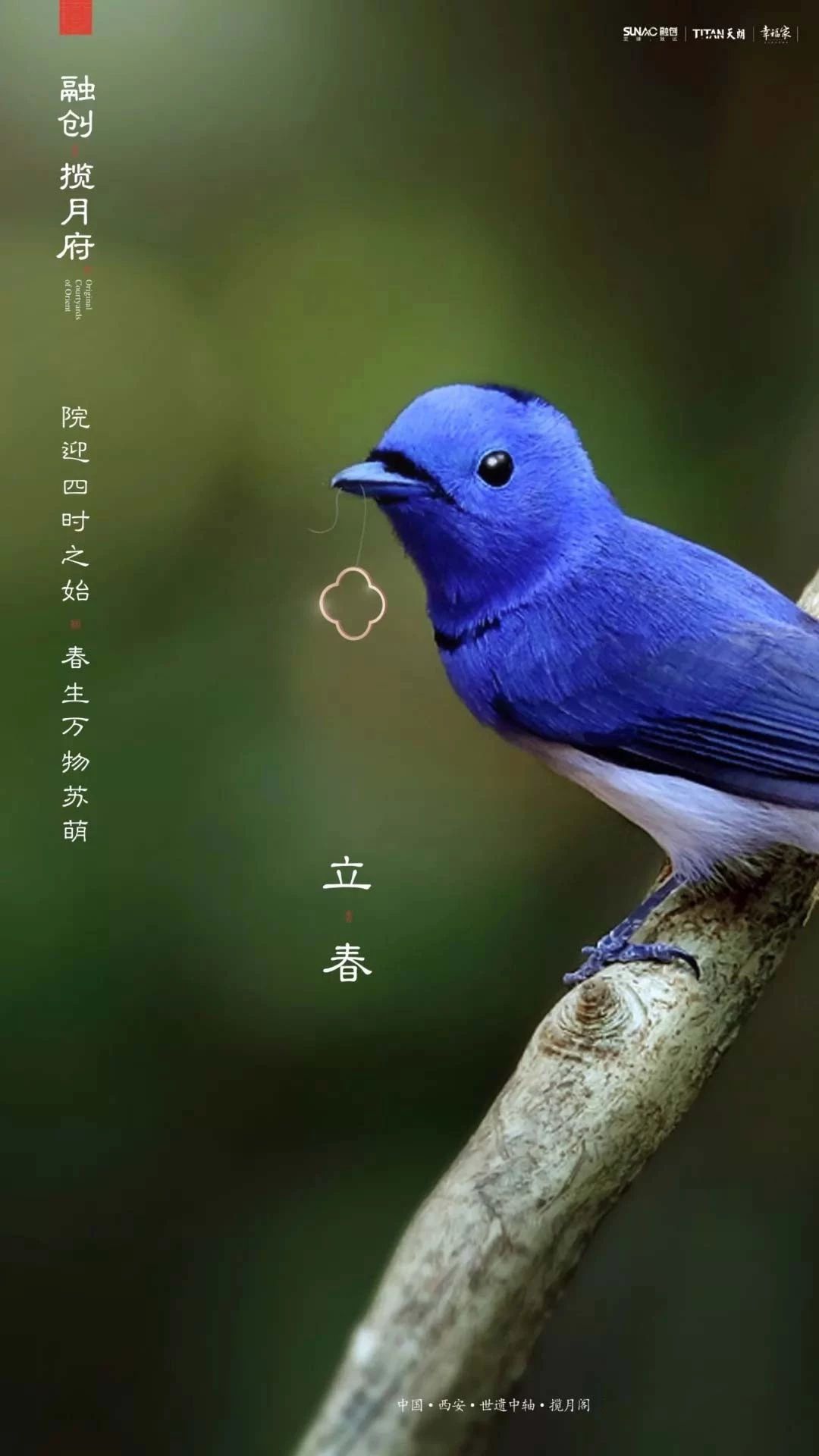 68(sh)(bo)<a href=http://www.edabuilding.com/ target=_blank class=infotextkey>O(sh)Ӌ(j)</a>Ʒ