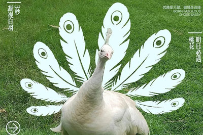 һ�M����Ԫ�غ���(b��o)��ʽ�`��