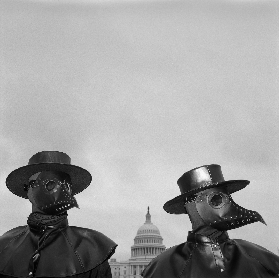 Political Year Zero(qun); Louie Palu